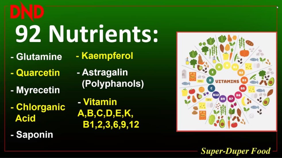 KHASIAT DND MORINGA PLUS